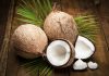 Top 5 Things To Consider When Choosing A Coconut Importer