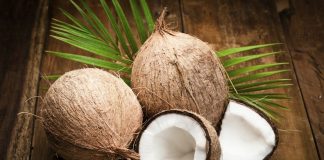 Top 5 Things To Consider When Choosing A Coconut Importer