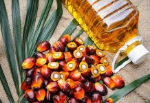 How To Sell Indonesia's Palm Oil Exports To The World