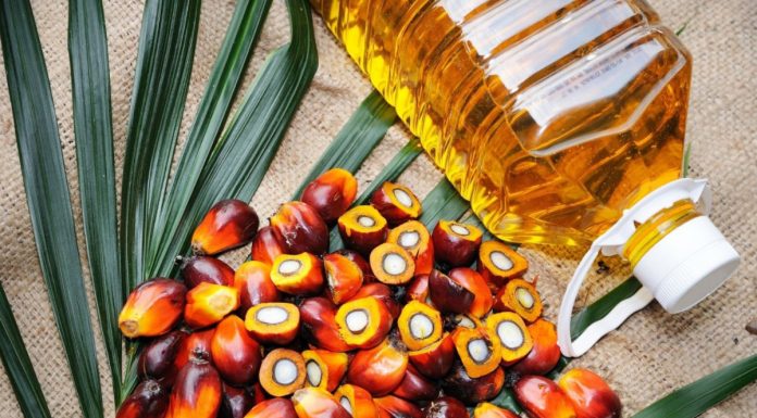 How To Sell Indonesia's Palm Oil Exports To The World