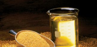 What Are The Best Sources Of Soybean Meal