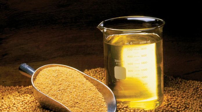 What Are The Best Sources Of Soybean Meal