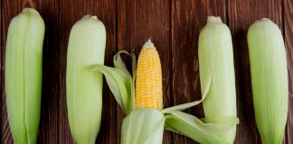 What Are The Top Benefits Of Yellow Corn