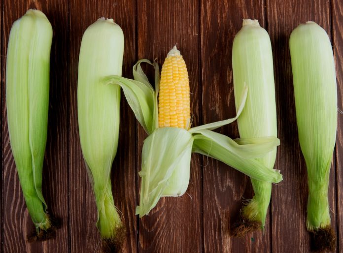 What Are The Top Benefits Of Yellow Corn